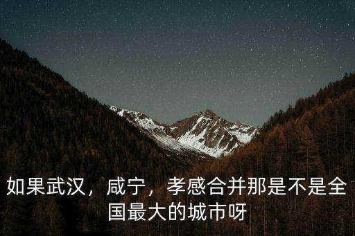 如果武漢，咸寧，孝感合并那是不是全國最大的城市呀