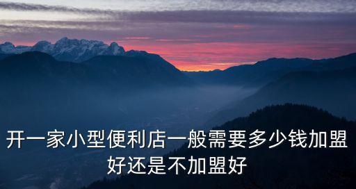 開(kāi)一家小型便利店一般需要多少錢加盟好還是不加盟好