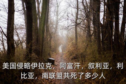 美國侵略伊拉克，阿富汗，敘利亞，利比亞，南聯(lián)盟共死了多少人