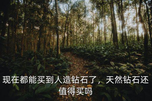 人造鉆石成都哪里買(mǎi),現(xiàn)在都能買(mǎi)到人造鉆石了