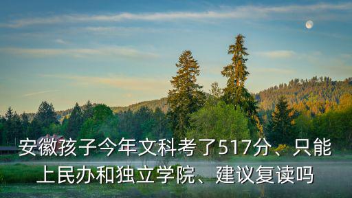 安徽孩子今年文科考了517分、只能上民辦和獨立學院、建議復讀嗎