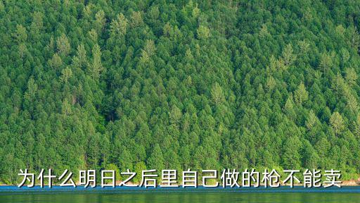 明日之后做的槍怎么不開封,明日之后怎么送槍