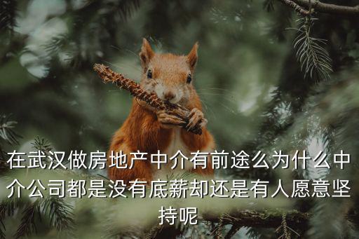 在武漢做房地產中介有前途么為什么中介公司都是沒有底薪卻還是有人愿意堅持呢
