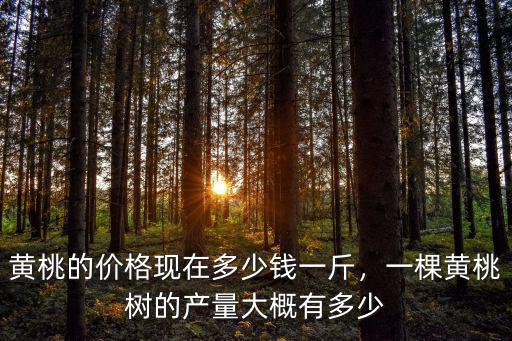 黃桃的價格現在多少錢一斤，一棵黃桃樹的產量大概有多少