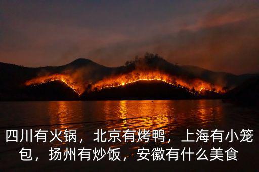 成都小吃上海哪里有,成都的小吃與上海的小吃比