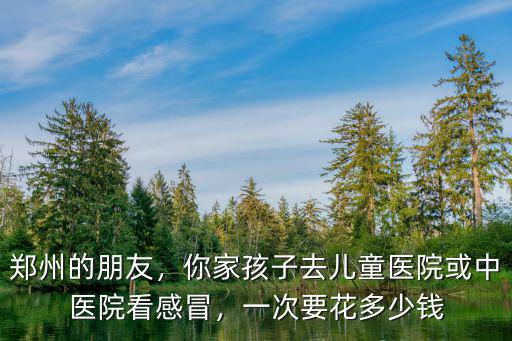 鄭州的朋友，你家孩子去兒童醫(yī)院或中醫(yī)院看感冒，一次要花多少錢