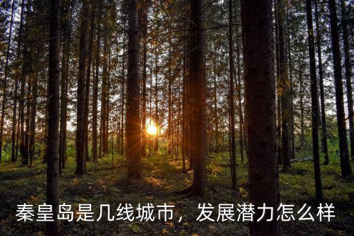 秦皇島是幾線城市，發(fā)展?jié)摿υ趺礃? class=