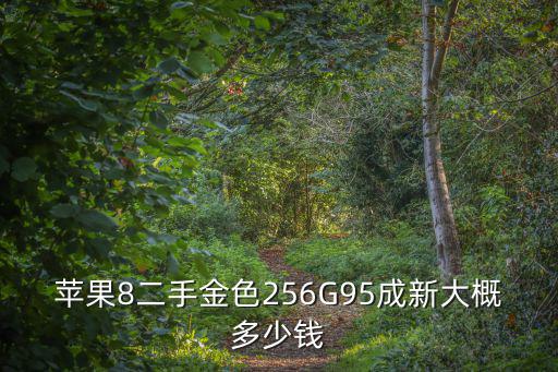 石家莊二手蘋果8多少錢啊,蘋果8目前二手多少錢