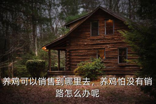 漯河市哪里可以找雞,養(yǎng)雞可以銷售到哪里去
