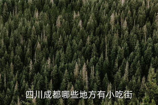 成都最有名小吃街在哪里,四川成都哪些地方有小吃街