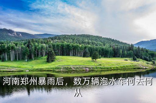 河南鄭州暴雨后，數萬輛泡水車何去何從