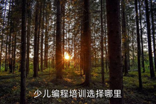 少兒編程培訓(xùn)選擇哪里