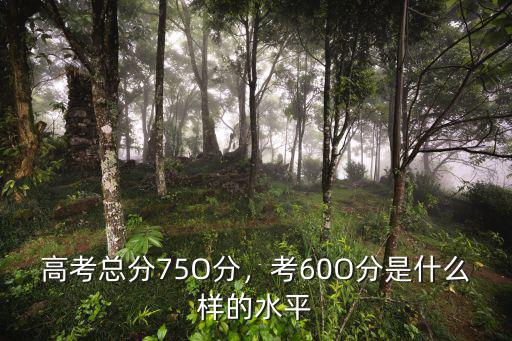 河北高考601分排名是多少,今年河北高考最高分多少