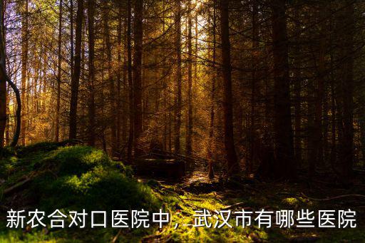 武漢黃埔中西醫結合醫院植發怎么樣,武漢市有哪些醫院