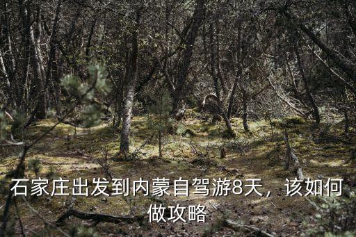 石家莊出發(fā)到內(nèi)蒙自駕游8天，該如何做攻略
