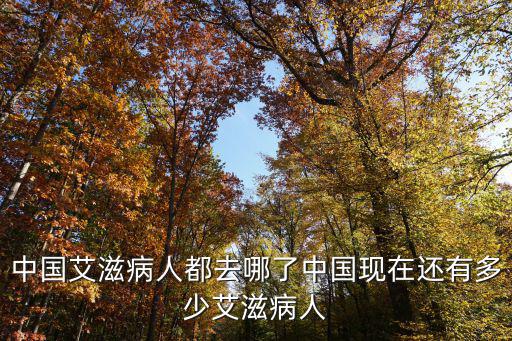 淮北有多少艾滋病攜帶者,中國現在還有多少艾滋病人
