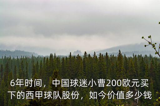 合肥西甲球隊(duì)股份值多少錢(qián),買(mǎi)下西甲球隊(duì)73%股份