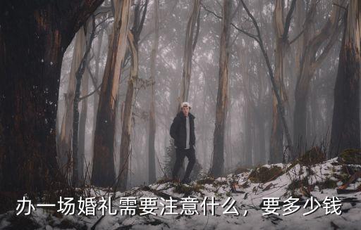 保定辦一場婚禮多少錢,辦一場婚禮需要注意什么
