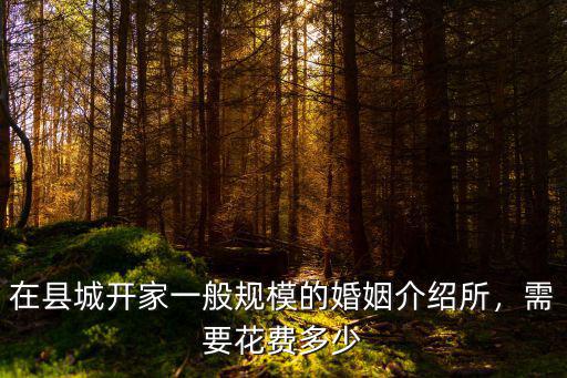 在合肥開家婚姻介紹所需要投資多少錢,在農(nóng)村開婚姻介紹所怎么樣