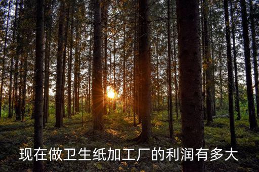 現在做衛生紙加工廠的利潤有多大