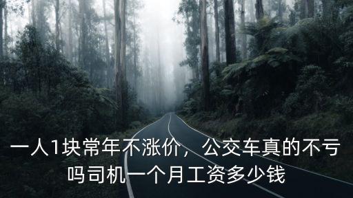 一人1塊常年不漲價，公交車真的不虧嗎司機一個月工資多少錢