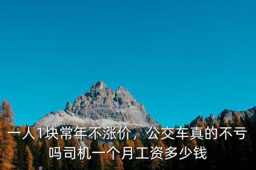蕪湖公交司機(jī)工資多少錢一個(gè)月,公交車司機(jī)收入多少