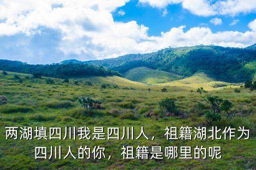 四川人的族譜是哪里的,祖籍是哪里的呢