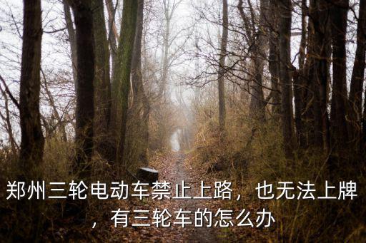 鄭州怎么樣可以騎電動(dòng)三輪車,有三輪車的怎么辦