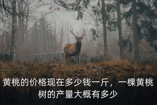 黃桃的價格現在多少錢一斤，一棵黃桃樹的產量大概有多少