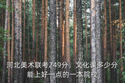 河北美術聯考249分，文化課多少分能上好一點的一本院校