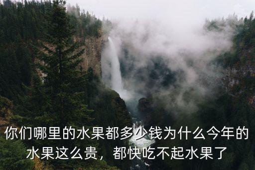 你們哪里的水果都多少錢為什么今年的水果這么貴，都快吃不起水果了