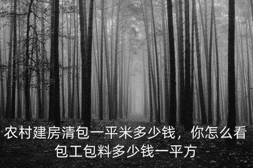 安徽阜陽農村蓋房多少錢一平方,包工包料多少錢一平方