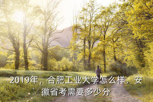 2019年，合肥工業大學怎么樣，安徽省考需要多少分