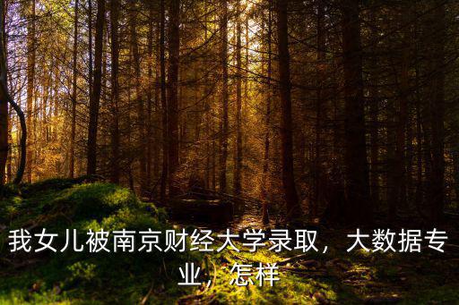 我女兒被南京財經大學錄取，大數據專業，怎樣