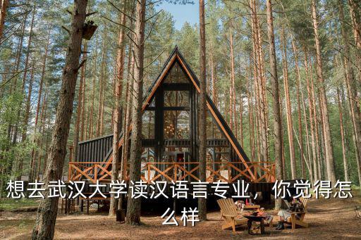 想去武漢大學讀漢語言專業，你覺得怎么樣