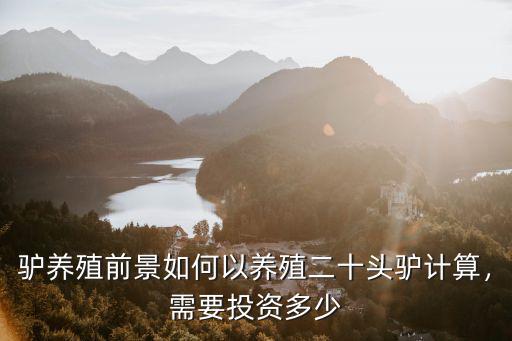 河北養驢投資多少,需要投資多少
