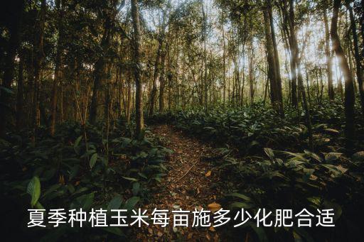 玉米畝施復合肥施多少合適,那每畝用多少肥料合適