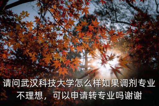 請問武漢科技大學怎么樣如果調劑專業不理想，可以申請轉專業嗎謝謝