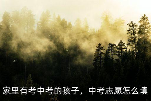 孩子中考成績不好志愿怎么填湖北,中考志愿怎么填