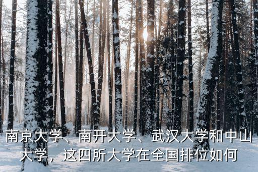 南京大學、南開大學、武漢大學和中山大學，這四所大學在全國排位如何