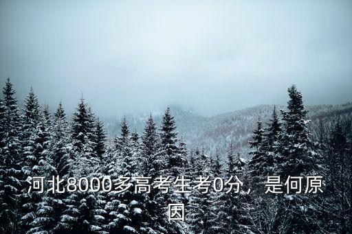 河北8000多高考生考0分，是何原因
