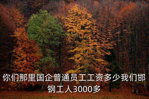 邯鄲市國企工人工資是多少,老人退休工資平均水平是多少