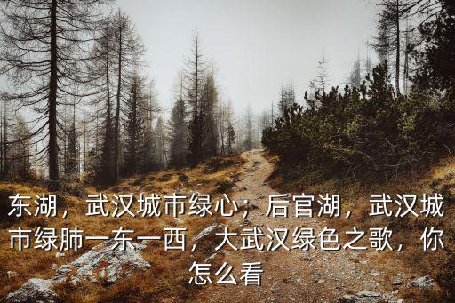 東湖，武漢城市綠心；后官湖，武漢城市綠肺一東一西，大武漢綠色之歌，你怎么看