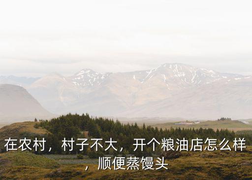在農村，村子不大，開個糧油店怎么樣，順便蒸饅頭