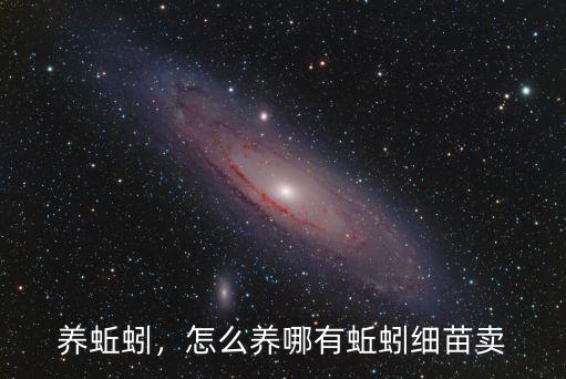 養(yǎng)蚯蚓，怎么養(yǎng)哪有蚯蚓細(xì)苗賣