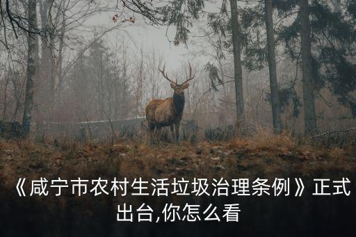 咸寧市生活垃圾怎么處理,農村生活污水和垃圾怎么處理