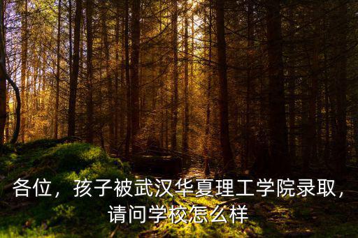 從荊州到武漢華夏理工學院怎么坐車,孩子被武漢華夏理工學院錄取