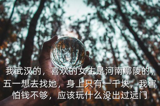 我武漢的，喜歡的女生是河南鄢陵的，五一想去找她，身上只有一千塊，我害怕錢不夠，應該玩什么沒出過遠門