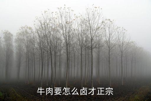 牛肉要怎么鹵才正宗