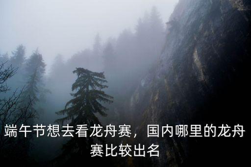 瀘州哪里可以看龍舟賽,端午節想去看龍舟賽